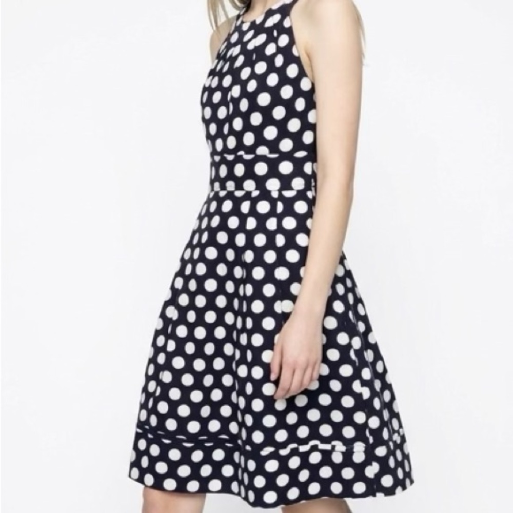 Elizabeth and James Navy and White One-Shoulder Polka Dot Dress
